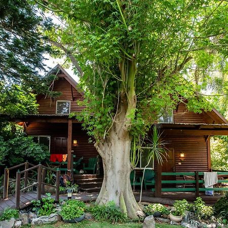 Invito Villa Rosh Pinna Ngoại thất bức ảnh