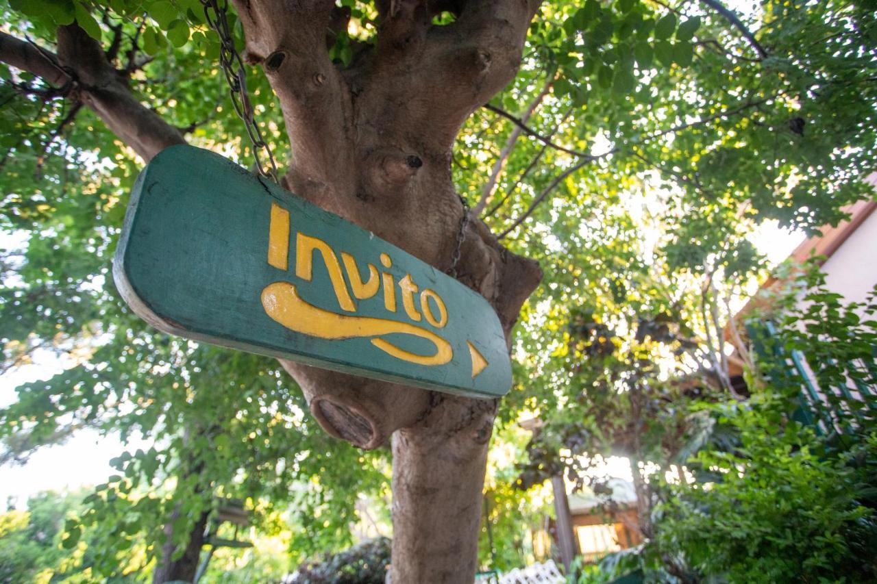 Invito Villa Rosh Pinna Ngoại thất bức ảnh